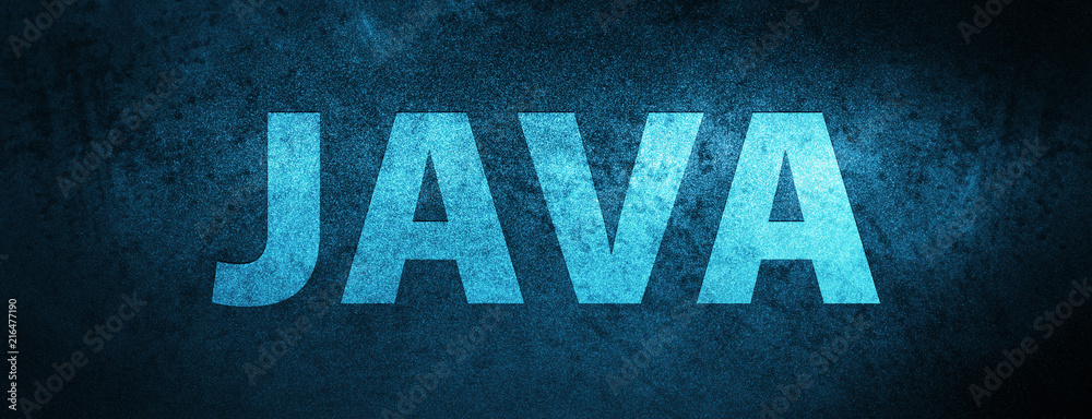 Java Experience